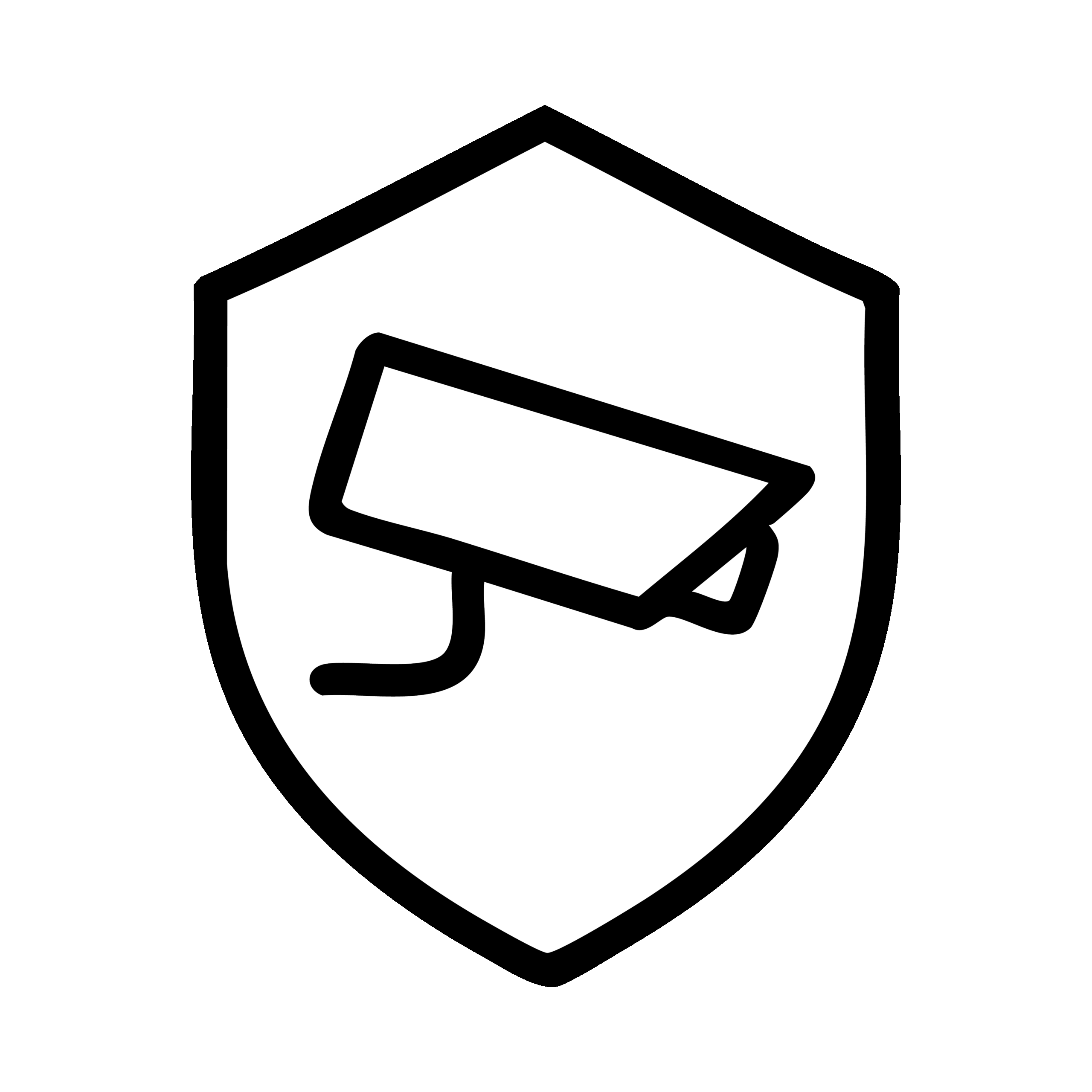 Icons-Sicherheitstechnik-sw